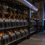 Why Did Bitcoin Explode Past $81K? 4 Macro Factors Behind the Rally