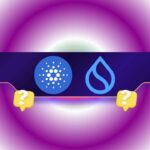NYT Connections Sports Edition hints and answers for September 4: Tips to solve Connections #711