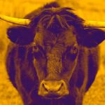 Another swarm of OpenAI agents reached the open internet without the frontier lab’s knowledge