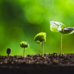 Why RWA Tokenization and Onchain Credit Could Boost XRP Demand