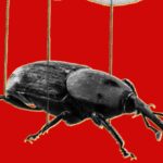 Arthur Hayes Dumps $22.28M in ETH, ENA, UNI as Scammers Move In Fast