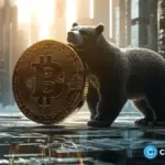 Will Bitcoin price crash again as it falls below $80,000?