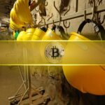 Who Pays and Who Gains as Ledger Drama Fuels Multisig Adoption